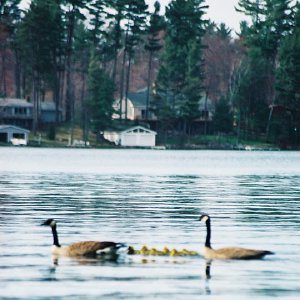 /Albums/12/107572 R1 11 26