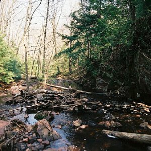 /Albums/12/107572 R1 31 5