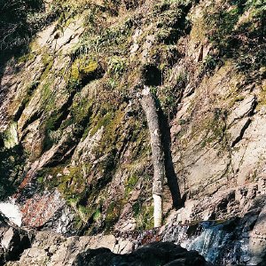 /Albums/12/107572 R1 33 3