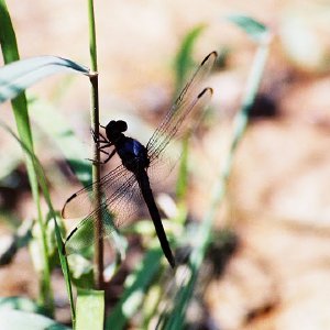 /Albums/12/107573 R1 06 17a