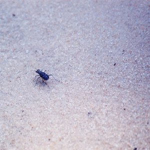 /Albums/12/107573 R1 08 15a