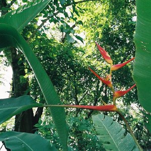 /Albums/12/107574 R1 19 20