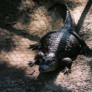 /Albums/12/107574 R1 21 22