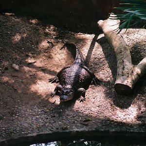 /Albums/12/107574 R1 22 23