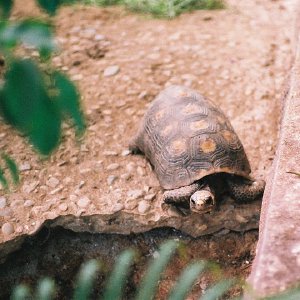 /Albums/12/107574 R1 23 24