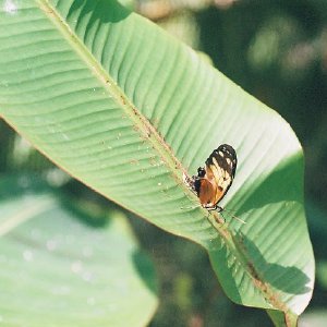 /Albums/12/107574 R1 29 30