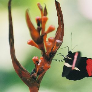 /Albums/12/107574 R1 31 32