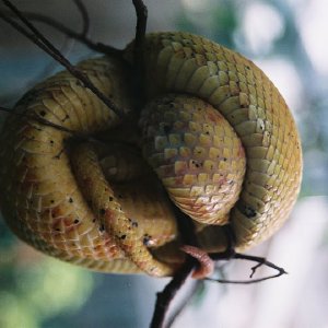 /Albums/12/107574 R1 32 33