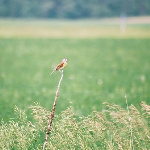 /Albums/12/107575 R1 01 9a