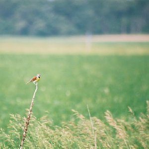 /Albums/12/107575 R1 02 8a