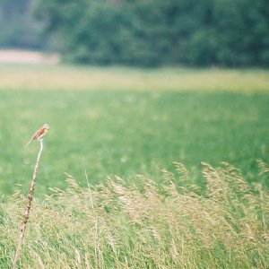 /Albums/12/107575 R1 03 7a