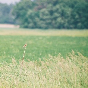 /Albums/12/107575 R1 04 6a