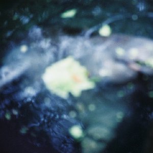 /Albums/13/107573 R1 11 12a