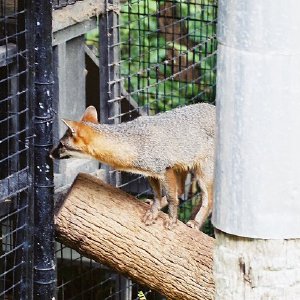 /Albums/13/107573 R1 18 5a