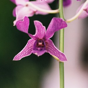 /Albums/13/107576 R1 01 1a