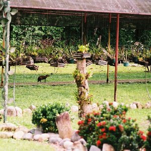 /Albums/13/107576 R1 02 2a