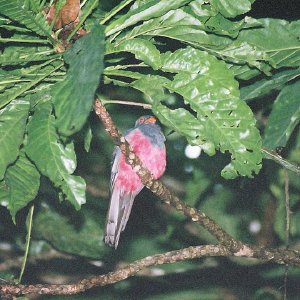 /Albums/13/107576 R1 25 25a