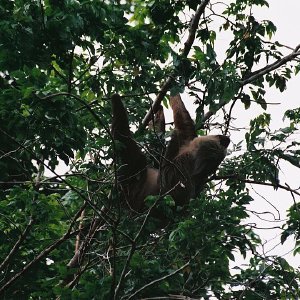 /Albums/13/107576 R1 31 31a