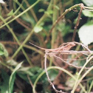 /Albums/13/449953 R1 01 35