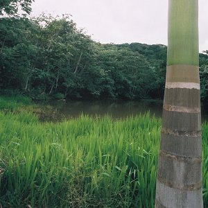 /Albums/13/449953 R1 04 32