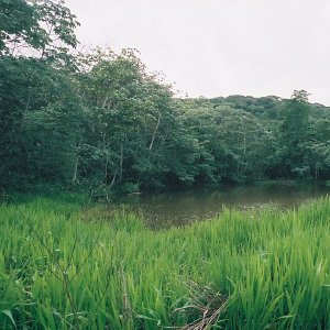 /Albums/13/449953 R1 05 31