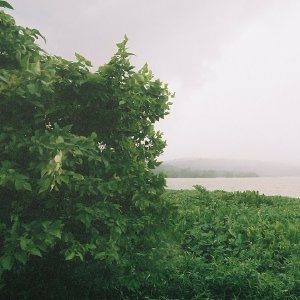 /Albums/13/449953 R1 06 30