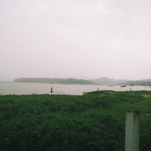 /Albums/13/449953 R1 07 29