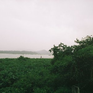 /Albums/13/449953 R1 08 28