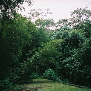 /Albums/13/449953 R1 09 27