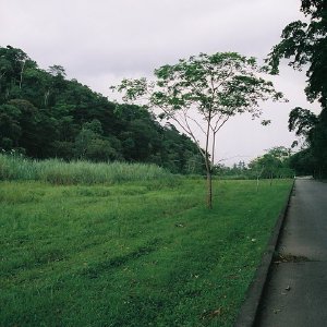 /Albums/13/449953 R1 10 26