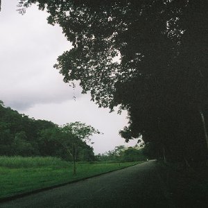 /Albums/13/449953 R1 11 25