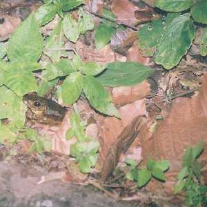 /Albums/13/449953 R1 13 23