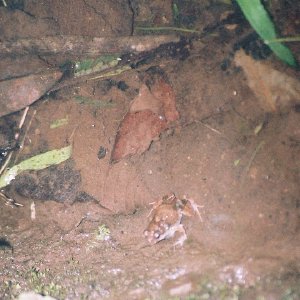 /Albums/13/449953 R1 17 19