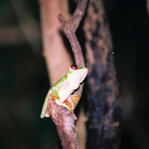 /Albums/13/449953 R1 21 15