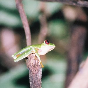 /Albums/13/449953 R1 22 14