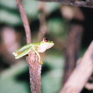 /Albums/13/449953 R1 23 13