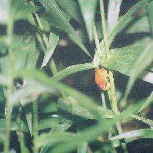 /Albums/13/449953 R1 24 12