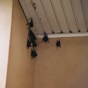 /Albums/14/107600 R1 00 1