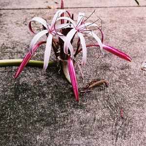 /Albums/14/107600 R1 02 3