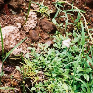 /Albums/14/107600 R1 03 4