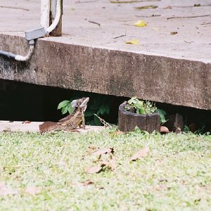 /Albums/14/107600 R1 06 7