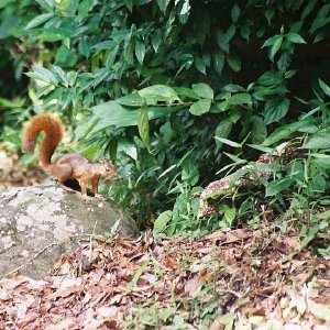 /Albums/14/107600 R1 11 12