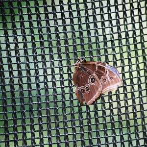 /Albums/14/107600 R1 13 14