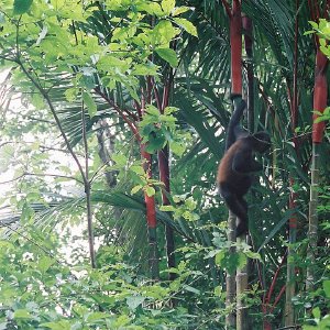 /Albums/14/107600 R1 16 17