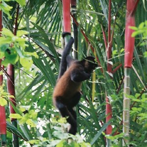 /Albums/14/107600 R1 17 18