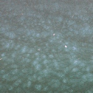 /Albums/14/107842 R1 24 6a