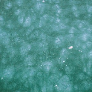 /Albums/14/107842 R1 25 5a