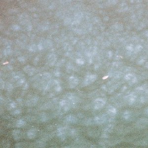 /Albums/14/107842 R1 26 4a