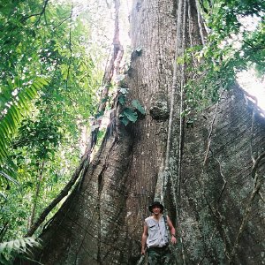 /Albums/14/107842 R1 28 2a