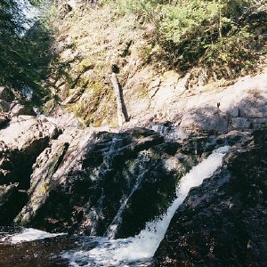 /Albums/14/449952 R1 00 0